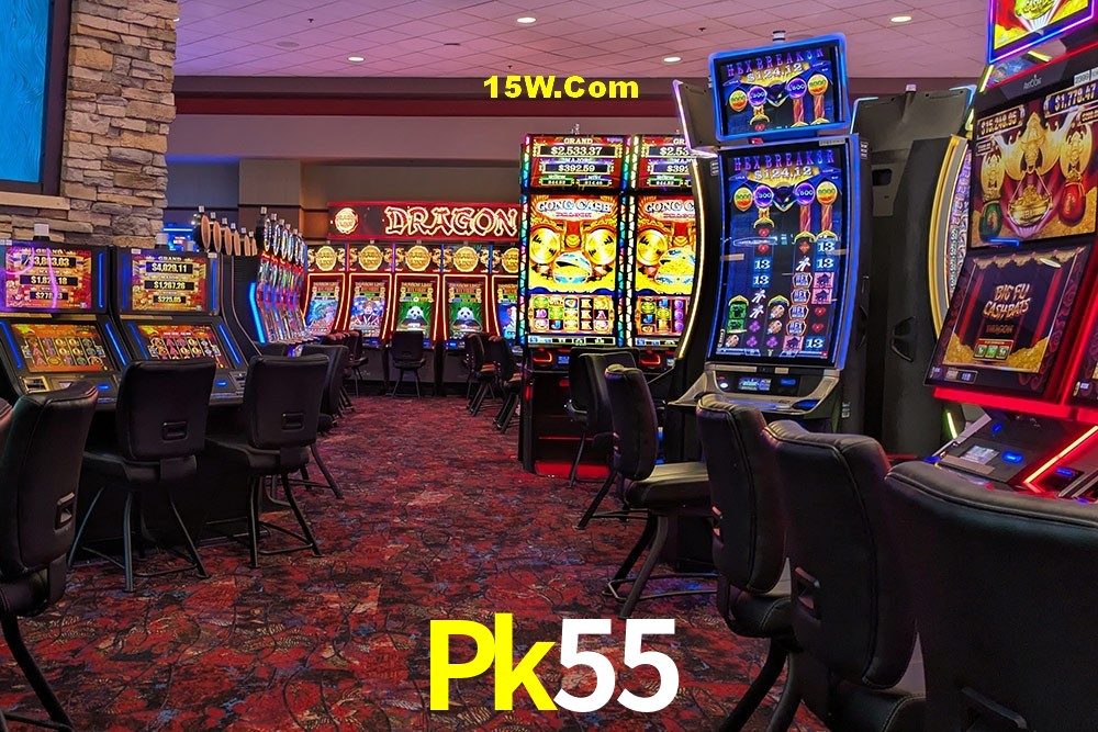 Live Casino Pk55
