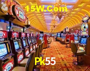 Interface moderna da plataforma Pk55